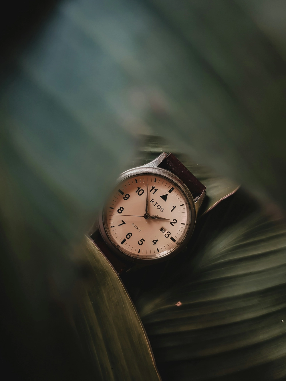 Sporty men’s watch worn on wrist for durable everyday style